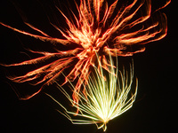 Sexy Amateur Girlfriend