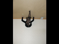 Playful blonde takes naughty pictures